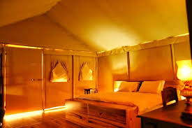 Lepard Paradise Jawai